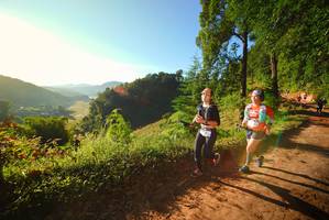 BIB: 
                            <button type="button" onclick="openModal(19174213)" class="btn btn-primary btn-sm float-right btn-popup" data-toggle="modal" data-target=".modal-high-quality">
                        <i class="fas fa-shopping-cart"></i> Add to Cart
                    </button>
                                            <button type="button" onclick="isThisMe(19174213, true)" class="btn btn-success btn-sm float-right btn-popup btn-isme hidden" data-toggle="tooltip" data-placement="bottom" title="นี่คือรูปของคุณใช่ไหม คลิกที่นี่เพื่อเอาเข้าอัลบั้ม">
                        <i class="fas fa-plus"></i> Add to album
                    </button>
                    <button type="button" onclick="isThisMe(19174213, false)" class="btn btn-warning btn-sm float-right btn-popup btn-isnotme hidden">
                        <i class="fas fa-ban"></i> Remove from album
                    </button>